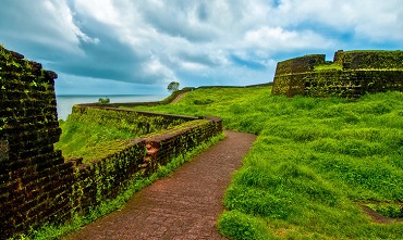 Best Way to Do Eco and Agriculture